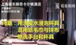 流萤爆料背景故事视频,揭秘神秘背景故事背后的传奇篇章