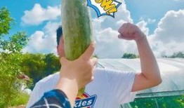 家暴吃瓜网红叫什么,网红“吃瓜群众”身份引关注